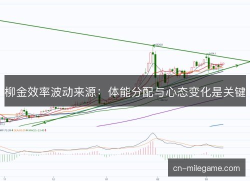 柳金效率波动来源：体能分配与心态变化是关键